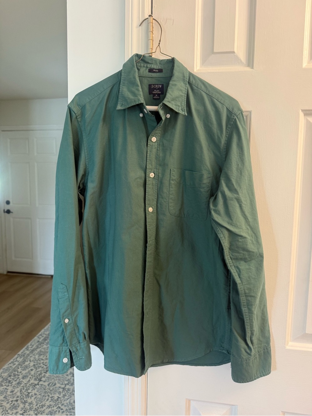 J. Crew Men's Teal Green Cotton Button-Down Shirt